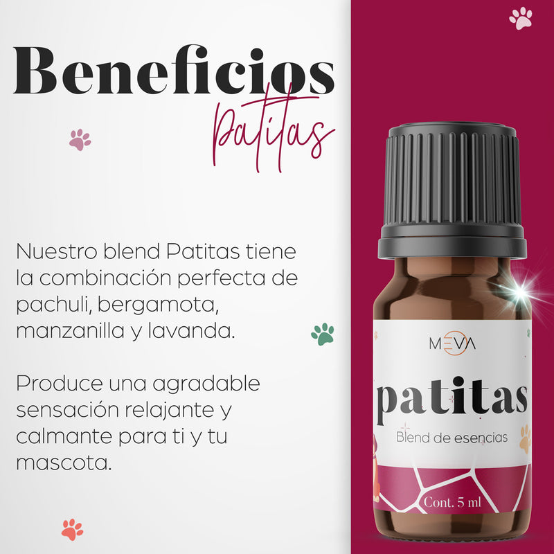 Esencia Patitas Para Difusor MEVA - MEVA.MX