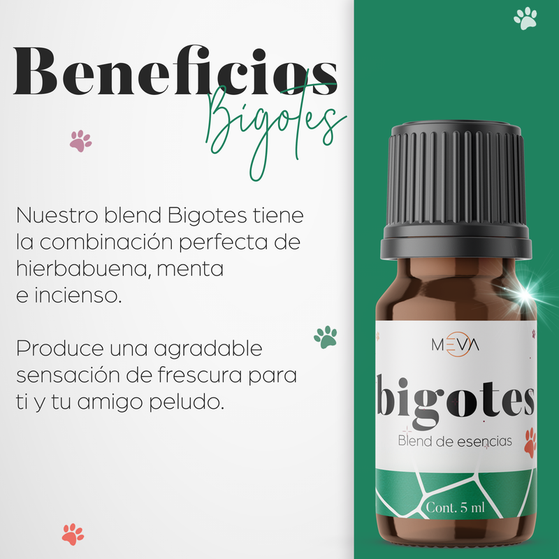 Esencia Bigotes Para Difusor MEVA - MEVA.MX