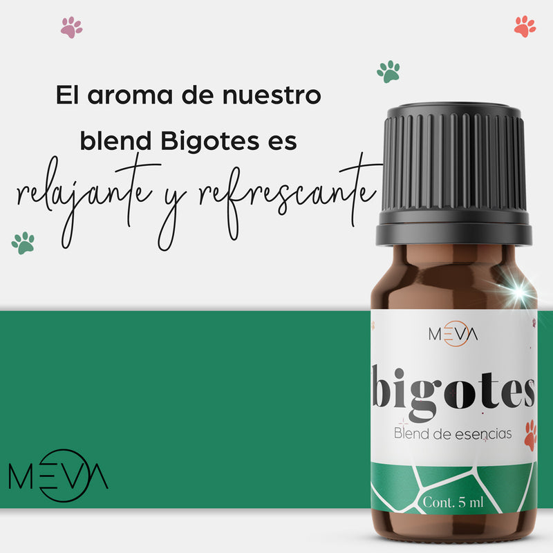 Esencia Bigotes Para Difusor MEVA - MEVA.MX